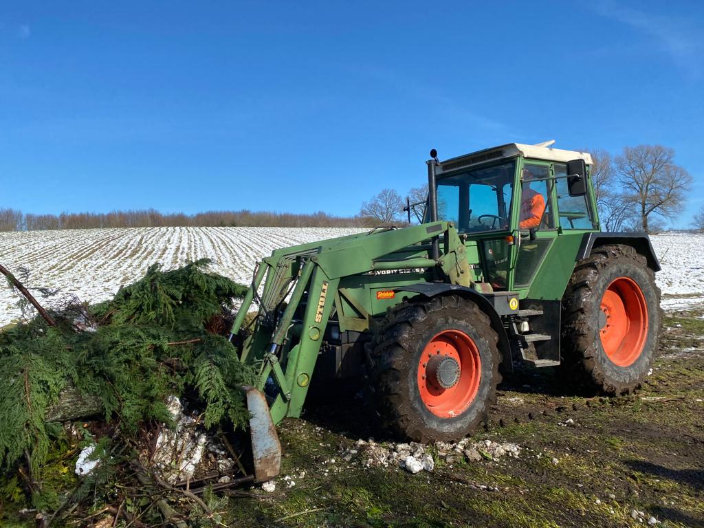 IMG 20230312 WA00011